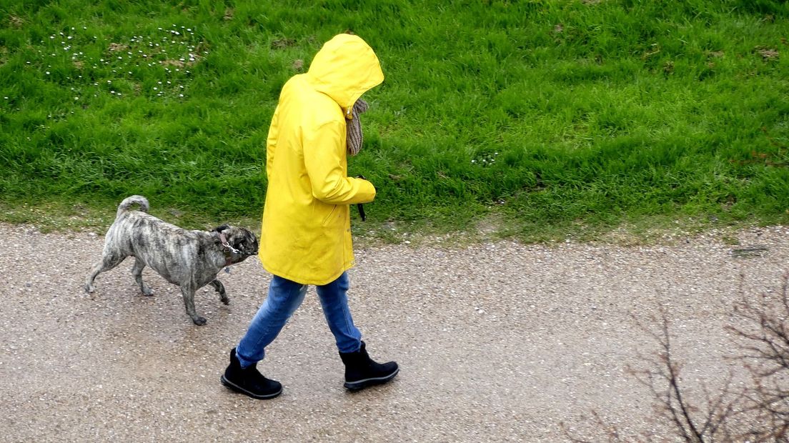 Sommigen móéten naar buiten in dit hondenweer