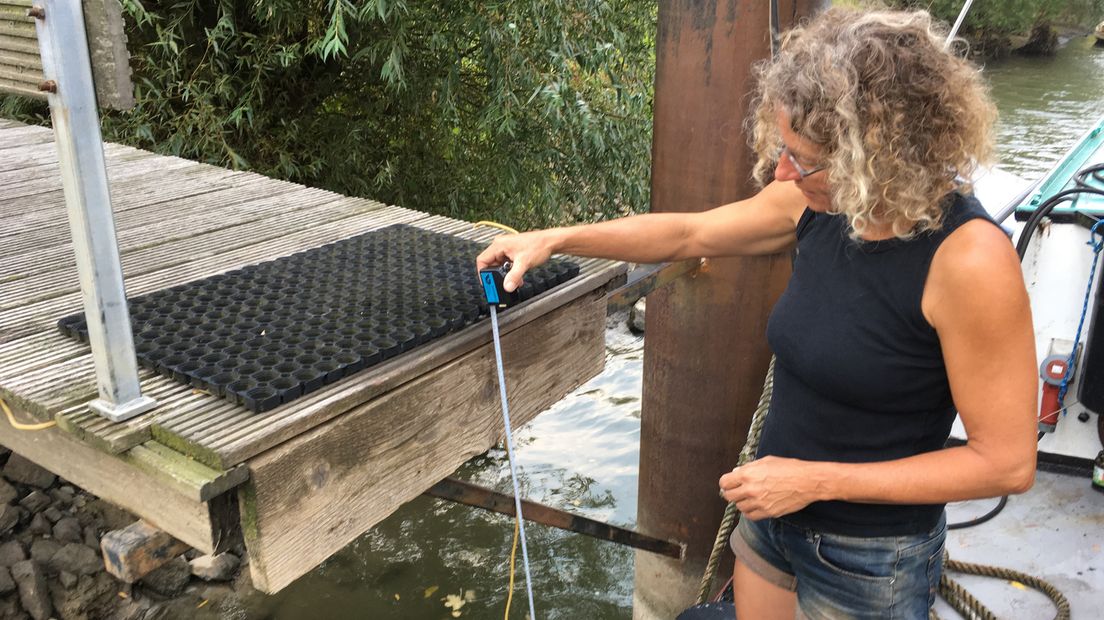 Marianne Kaam moet door de droogte een sprongetje maken om op haar woonark te komen.