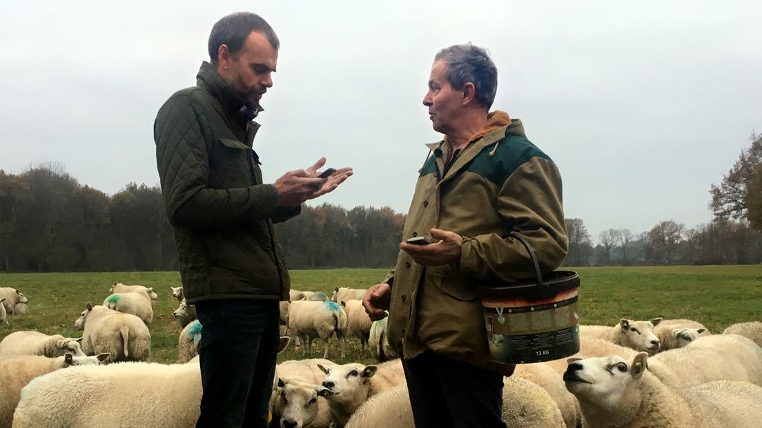 Statenlid Philip Overkleeft en schapenhouder Jos Hilhorst vanmorgen in gesprek over wolven.