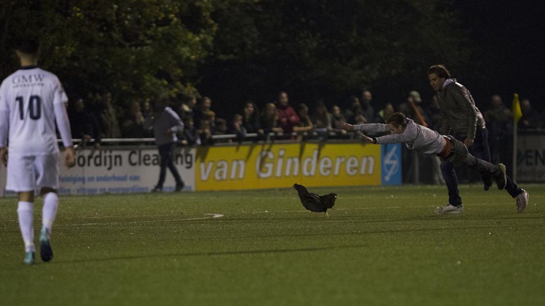 Fans van de Haagse amateurclub Quick proberen een kip te vangen voor het uitduel met stadsgenoot HBS