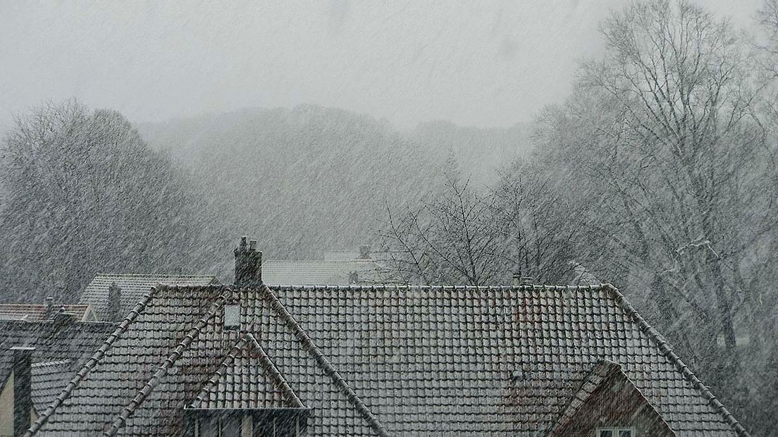 Sneeuw in Meppel (Rechten: Johan Nauta)