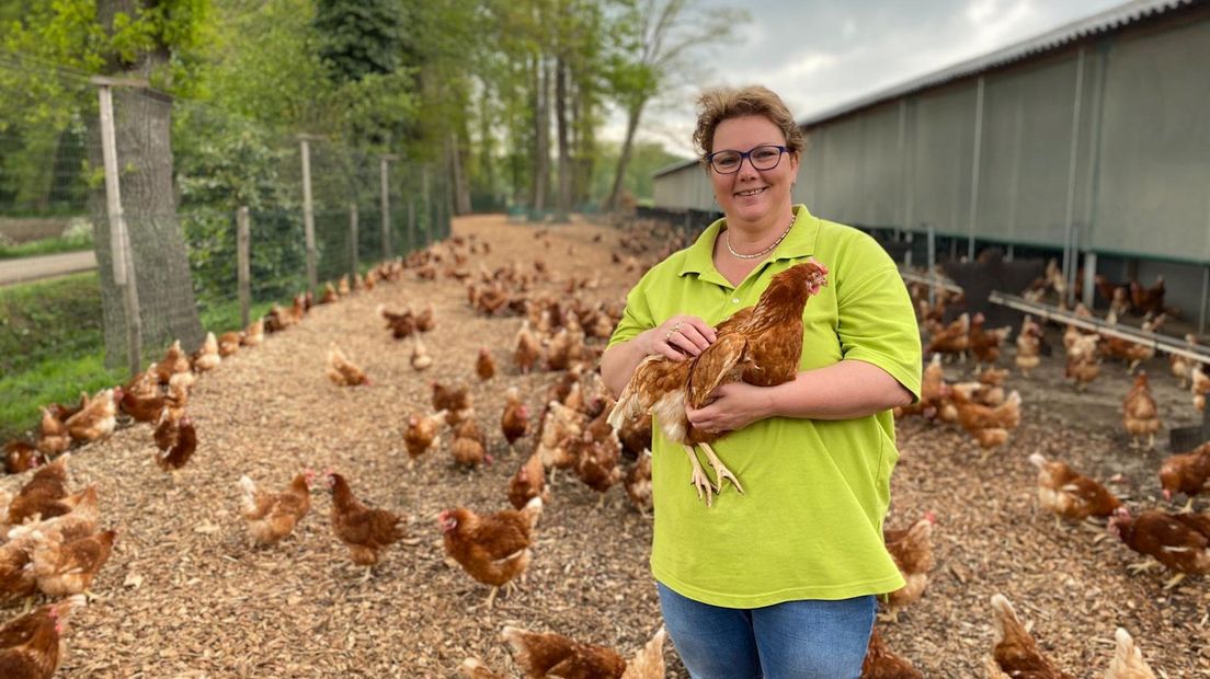 Biologisch pluimveehouder uit Hertme blij met opheffing ophokplicht: 