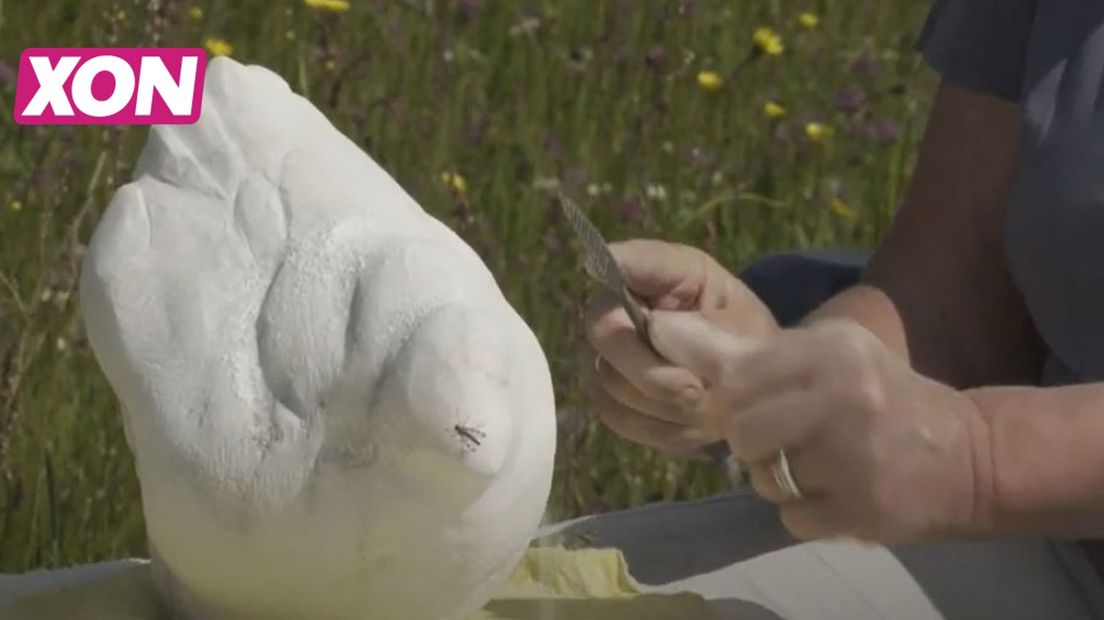 Kunst aan het Klompenpad 2021