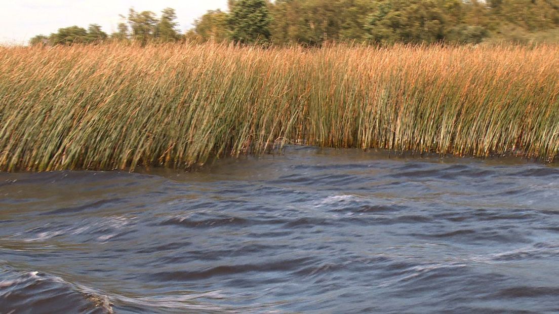 Natuurgebied De Wieden vanaf het water