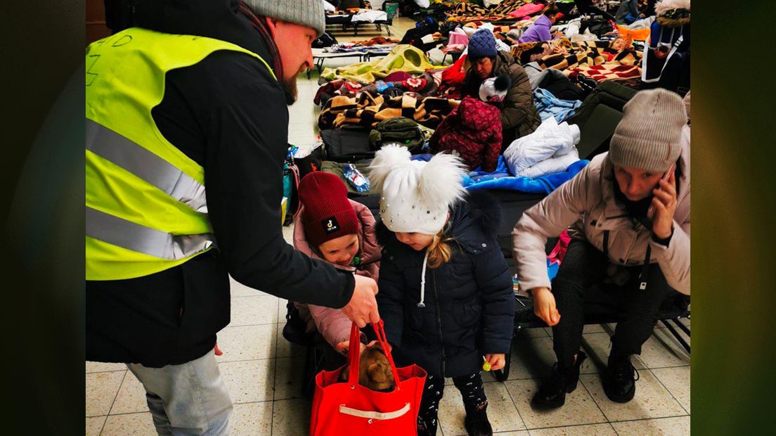 Oekraïense kinderen aaien een puppy