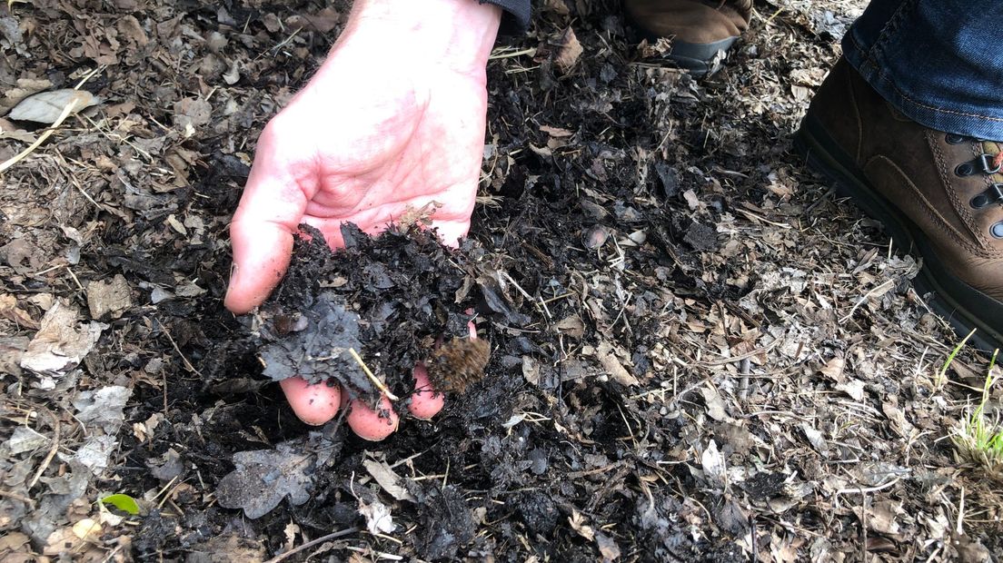 Bokashi bevat onder meer fijngemalen bladeren, kalk en schelpen. (Rechten: RTV Drenthe)