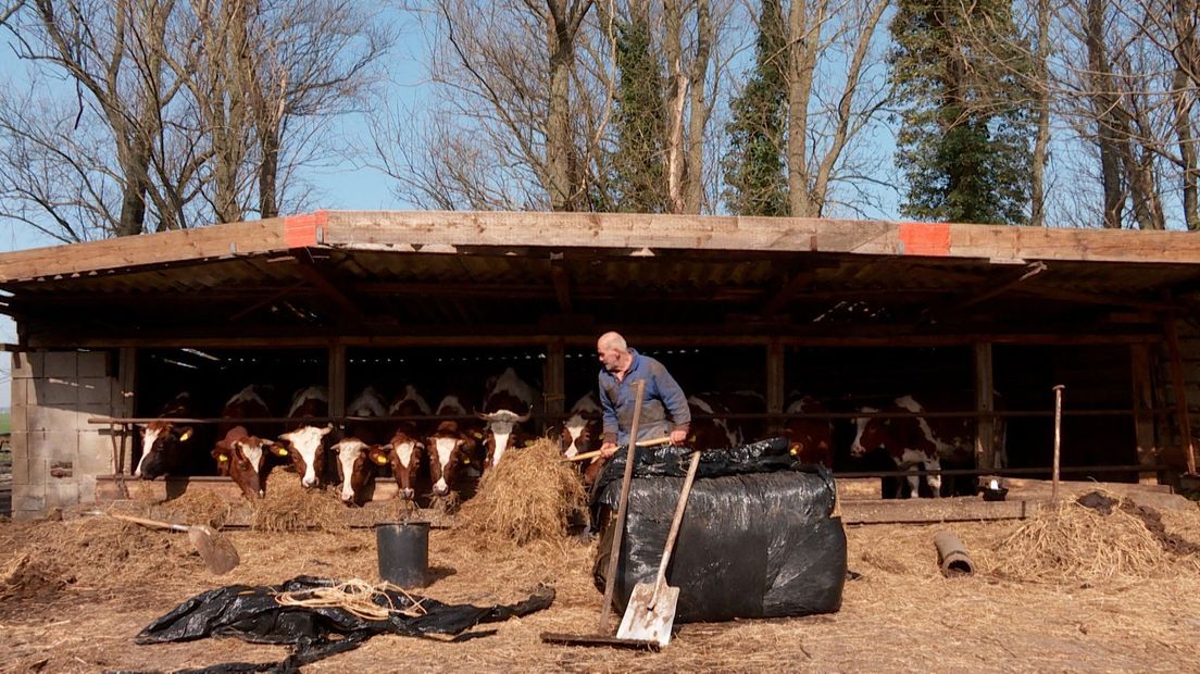 Boeren, inwoners: iedereen maakt zich zorgen om Het Groene Hart - Omroep West
