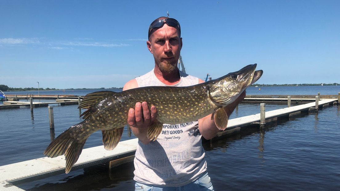 De snoek van ongeveer 90 centimeter
