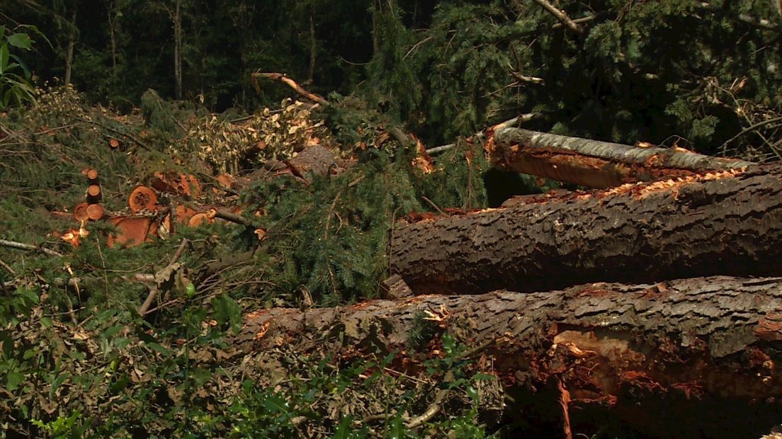 Ruim 1500 bomen gekapt in natuurgebied
