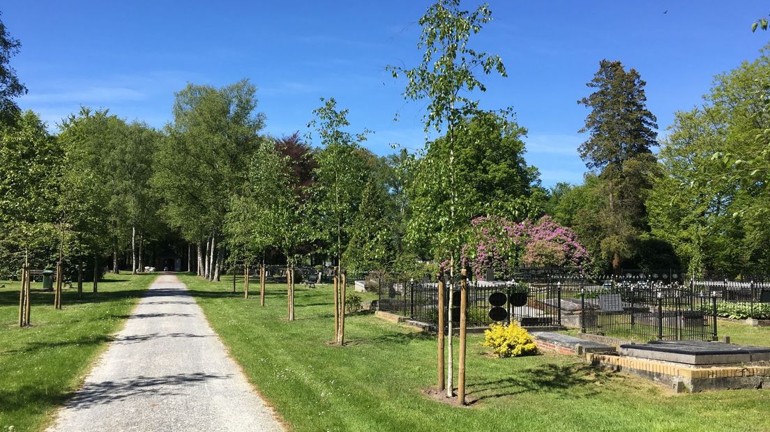 Graf in Borger-Odoorn het goedkoopste, Tynaarlo het duurste - RTV Drenthe