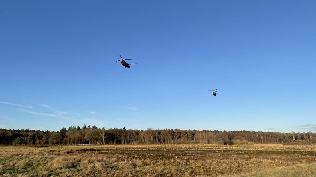 Chinook