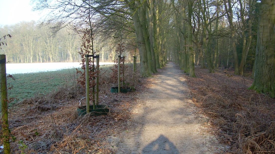 Deel van het parcours