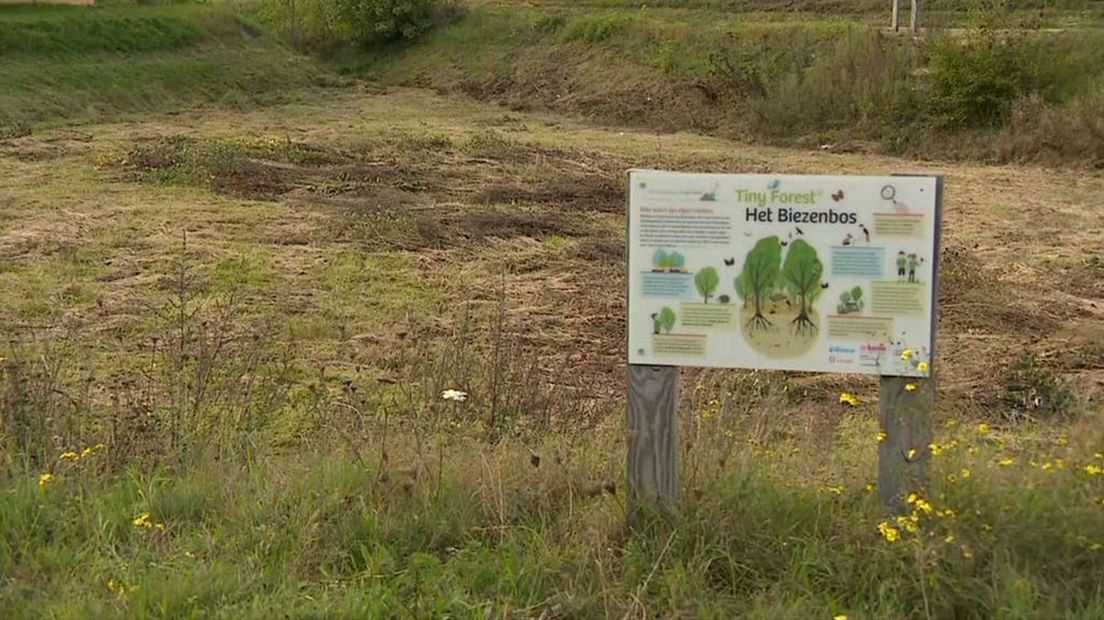 Het Nijmeegse minibos 'Het Biezenbos' is per ongeluk weggemaaid.