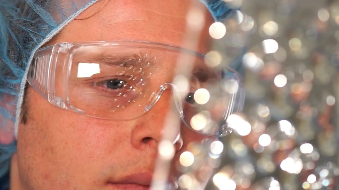 Zeeuwse Willie Wortels staan in de rij voor een patent