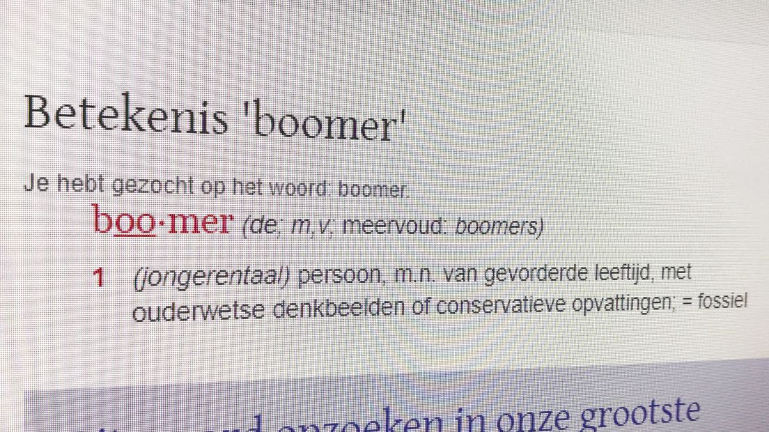 Definitie van boomer op VanDale.nl
