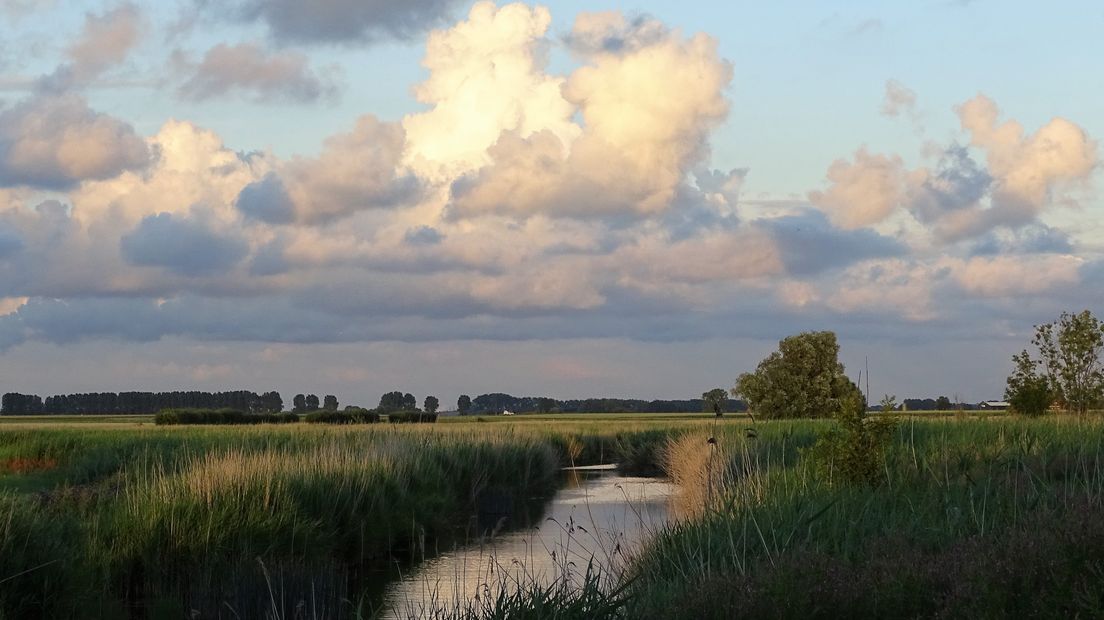 Het Koegat bij Vogelwaarde