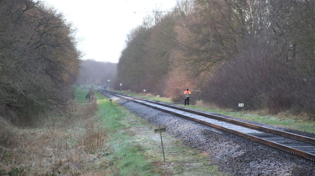 Boomtakken op het spoor bij Markelo
