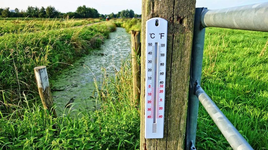 De temperatuur schiet alle kanten op de komende dagen.