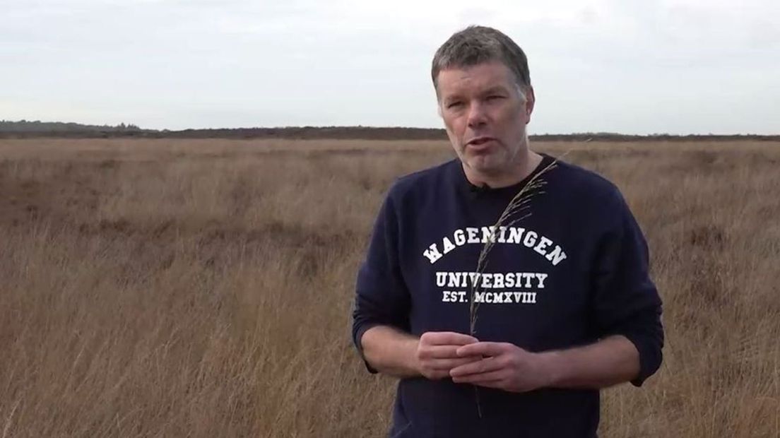 Ecoloog Wieger Wamelink