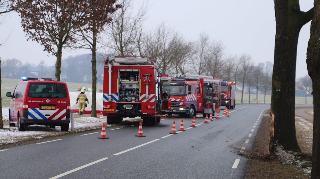 Busje tegen boom