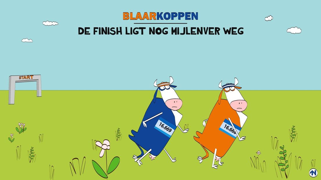 Onze Blaarkoppen doen hun best