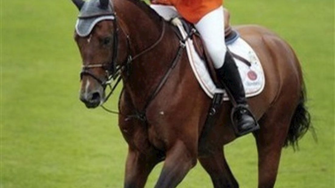 Angelique Hoorn