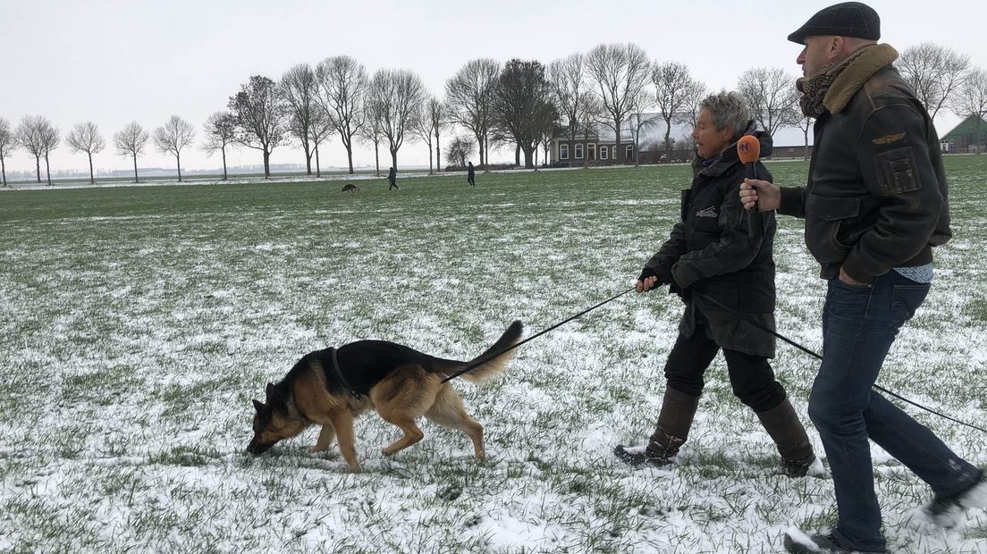 Op speurtocht in de sneeuw