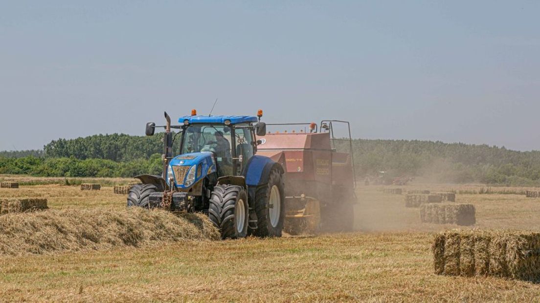 Droogte op het land tijdens het hooien in juni 2020