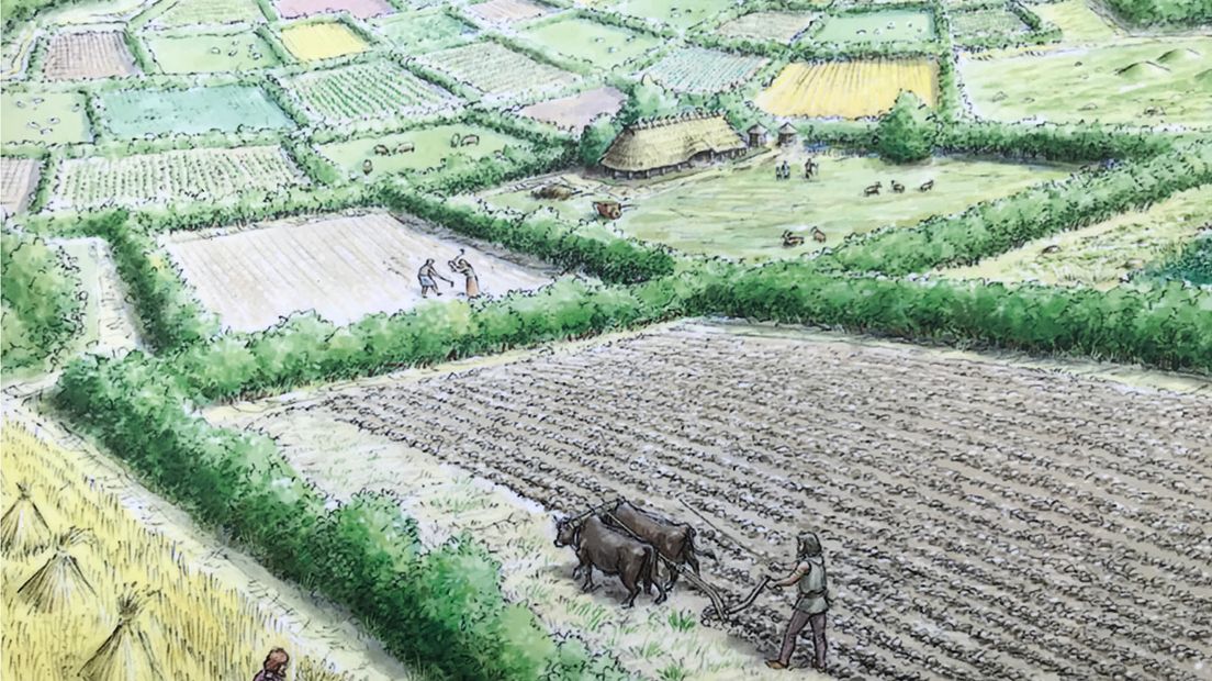 3000 jaar geleden werd er in Elst al aan landbouw gedaan
