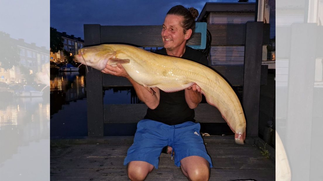 Rare Encounter: Houseboat Resident Discovers Mysterious Golden Albino Catfish