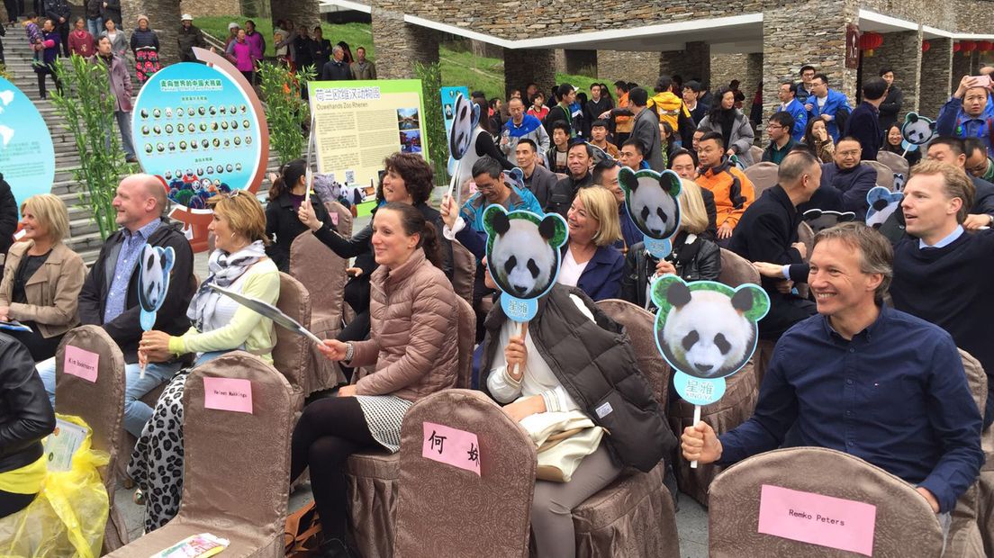 Veel aandacht in China voor de verhuizing van de panda's naar Nederland.
