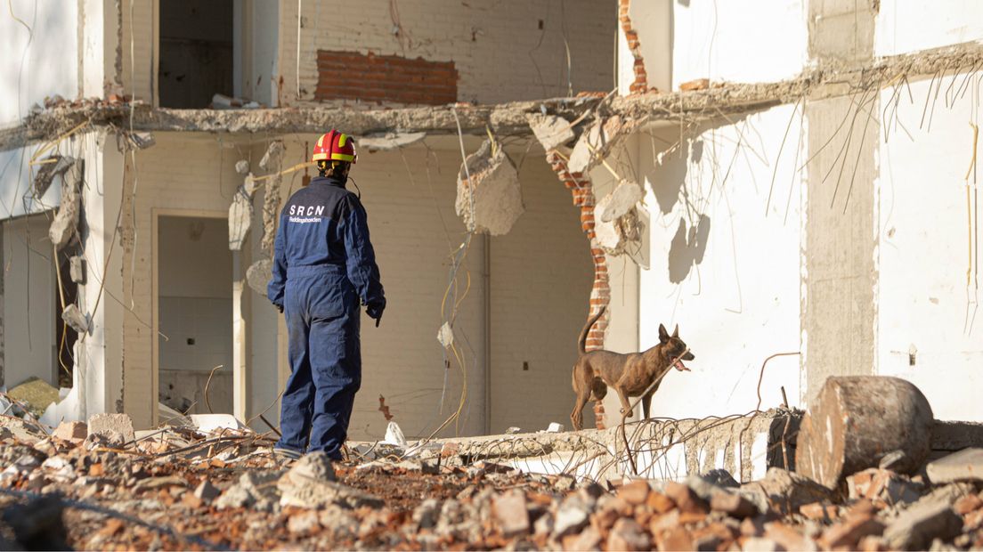 Zoekhonden kammen de puinhopen uit