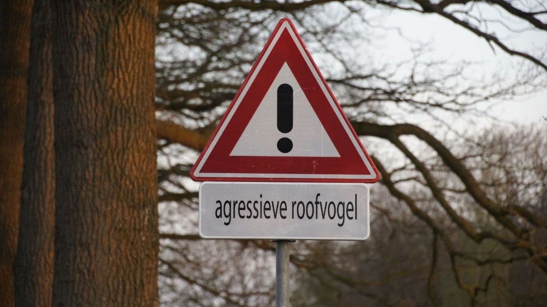 agressieve roofvogel