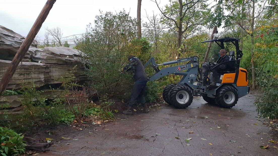 Doornstruiken moeten al te nieuwsgierige bezoekers tegenhouden