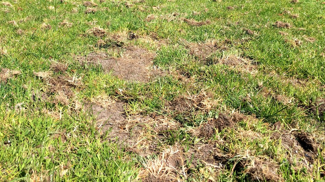 Schade aan veld 3 bij FC De Bilt