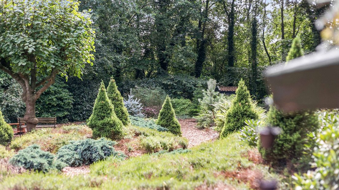 De tuin van de woonboerderij in Noordwijk