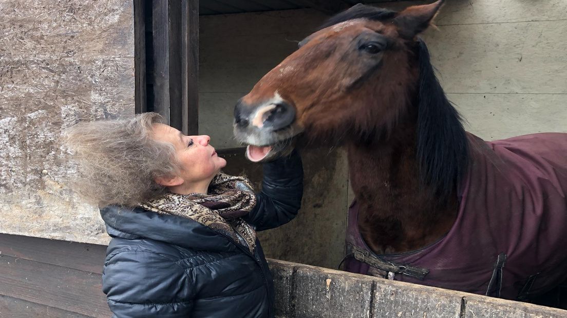 Anne van Lith bij één van de paarden die ze verzorgt