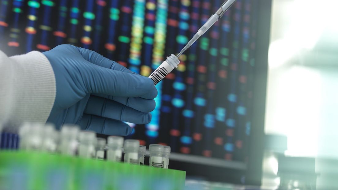 Rechtbank bekijkt uitkomsten uniek DNA-onderzoek in verkrachtingszaak Schipborg - RTV Drenthe