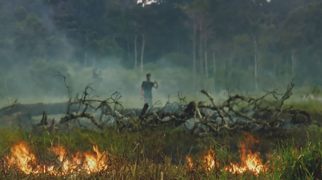 Still uit de natuurdocumentaire