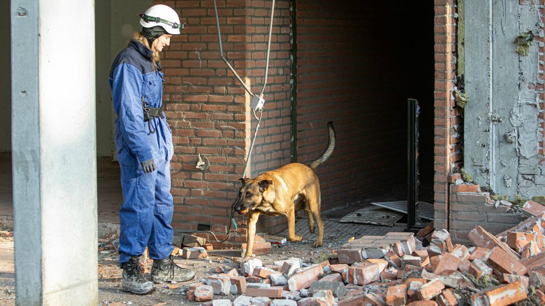 Zoekhonden kammen de slooplek uit