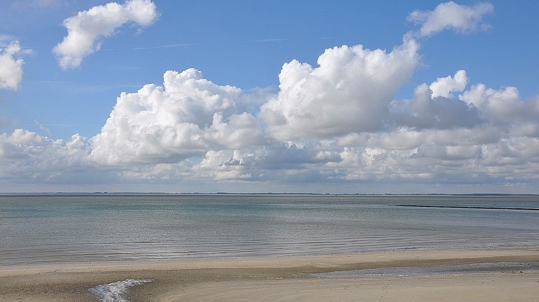 Westerschelde bij Ritthem