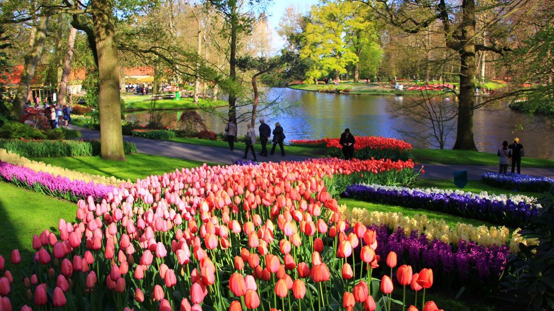Keukenhof in Lisse in bloei.