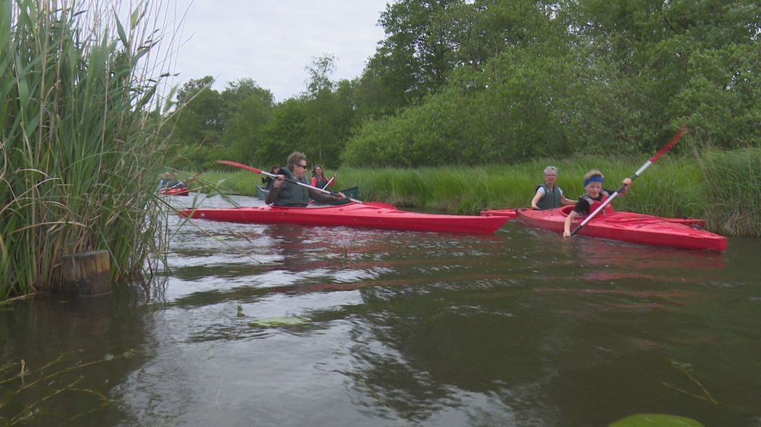 Kanoen in de Weerribben
