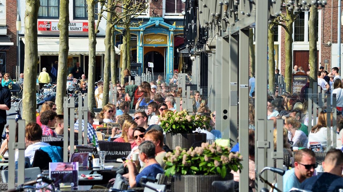 Goes in actie tegen overlast meeuwen