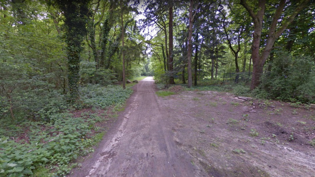 Het Zwanemeerbos in Gieten (Rechten: Google Street View)