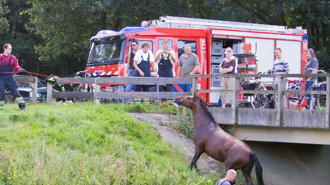 Brandweer trekt paard uit De Regge