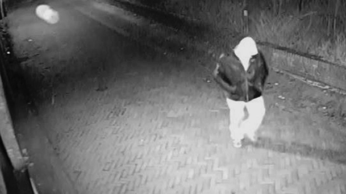 Geen onderzoek naar Zierikzeese autokrasser