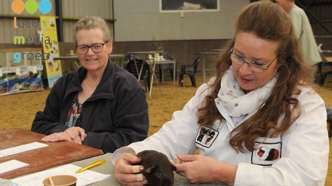 Een kijkje op de landelijke IJsselvliedtshow van Nut en Sport uit Wezep
