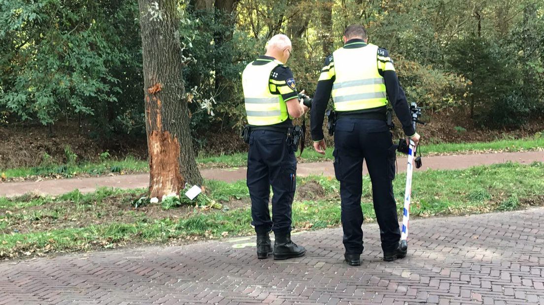 De auto van de jongens belandde tegen een boom (Rechten: Matthijs Holtrop/RTV Drenthe)