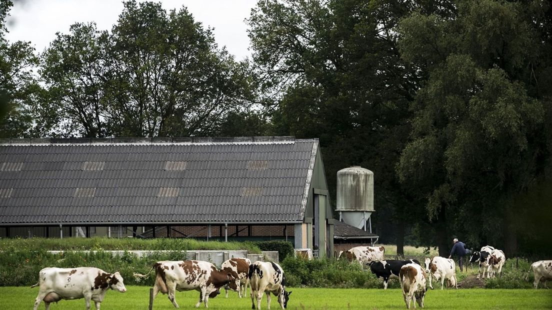 De uitstoot van stikstof in sommige gebieden moet met 70 tot 80 procent omlaag